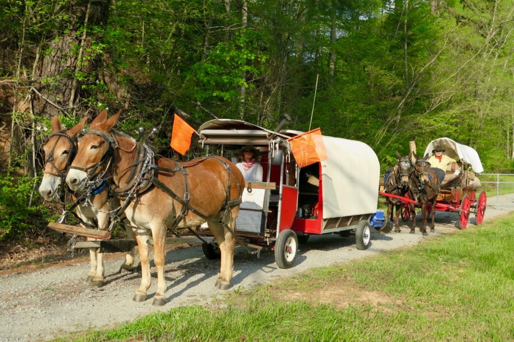 Bernie Harberts and his wagon leaving his farm.