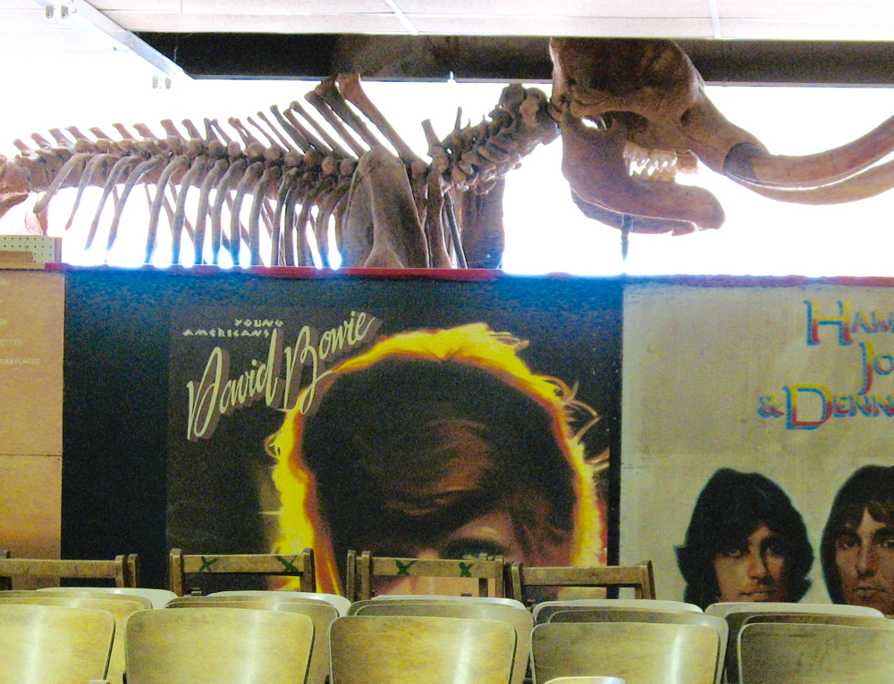 Young American and Old American: Joe Taylor's painting of a David Bowie album cover in front of a mastadon skeleton in Joe's museum.