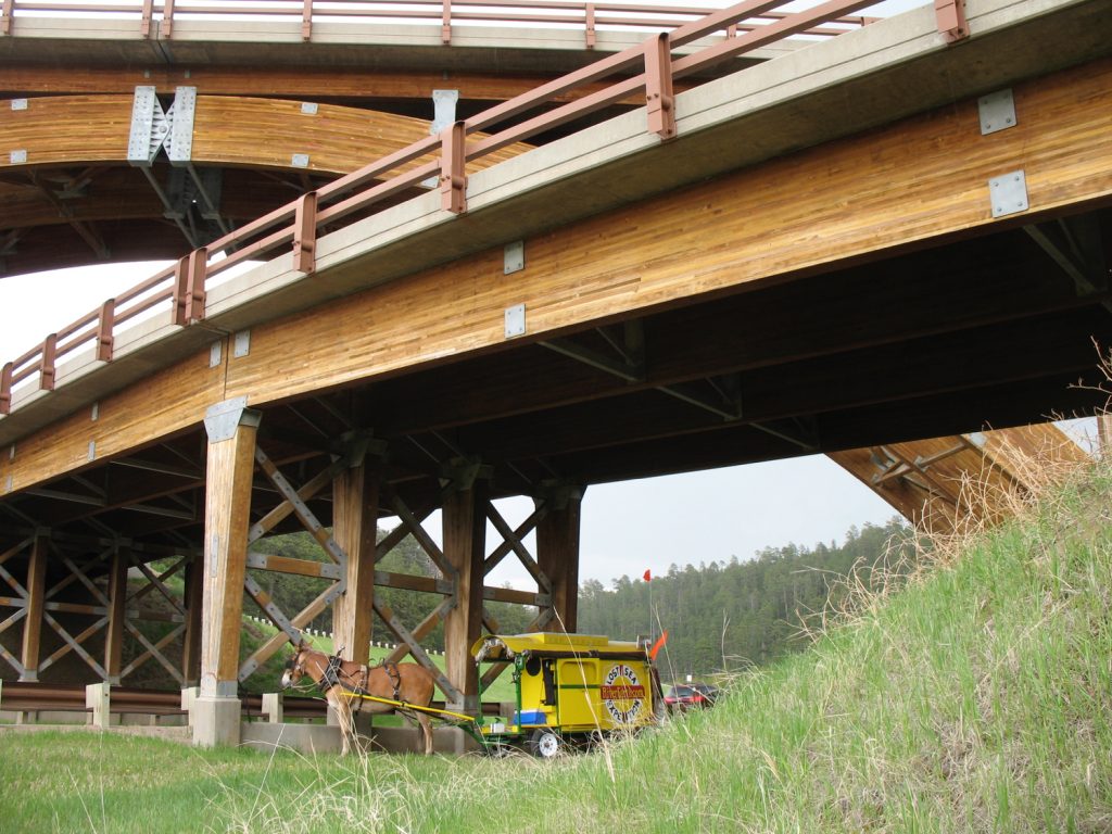 If an interstate spaghetti junction was built of laminated timber beams, this is what it would look like. Sure makes my wagon look small. Here, Polly uses it to duck out a hail storm. (Between Hill City and Rapid City, South Dakota)