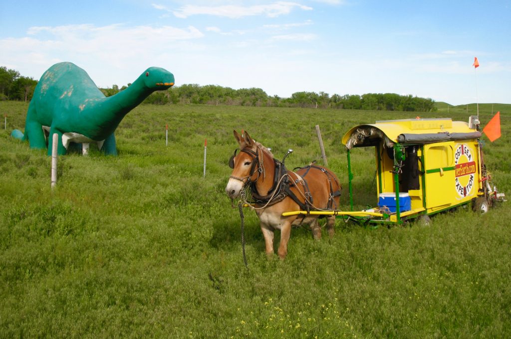 Mule Polly and the Creston dinosaur.