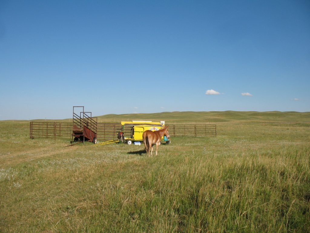 Sand Hills evening scene: Mule Polly and the Lost Sea Expedition wagon parked outside Hyannis, Nebraska.