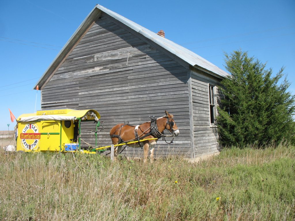 Mule Polly parked in front of a Kansas school house.