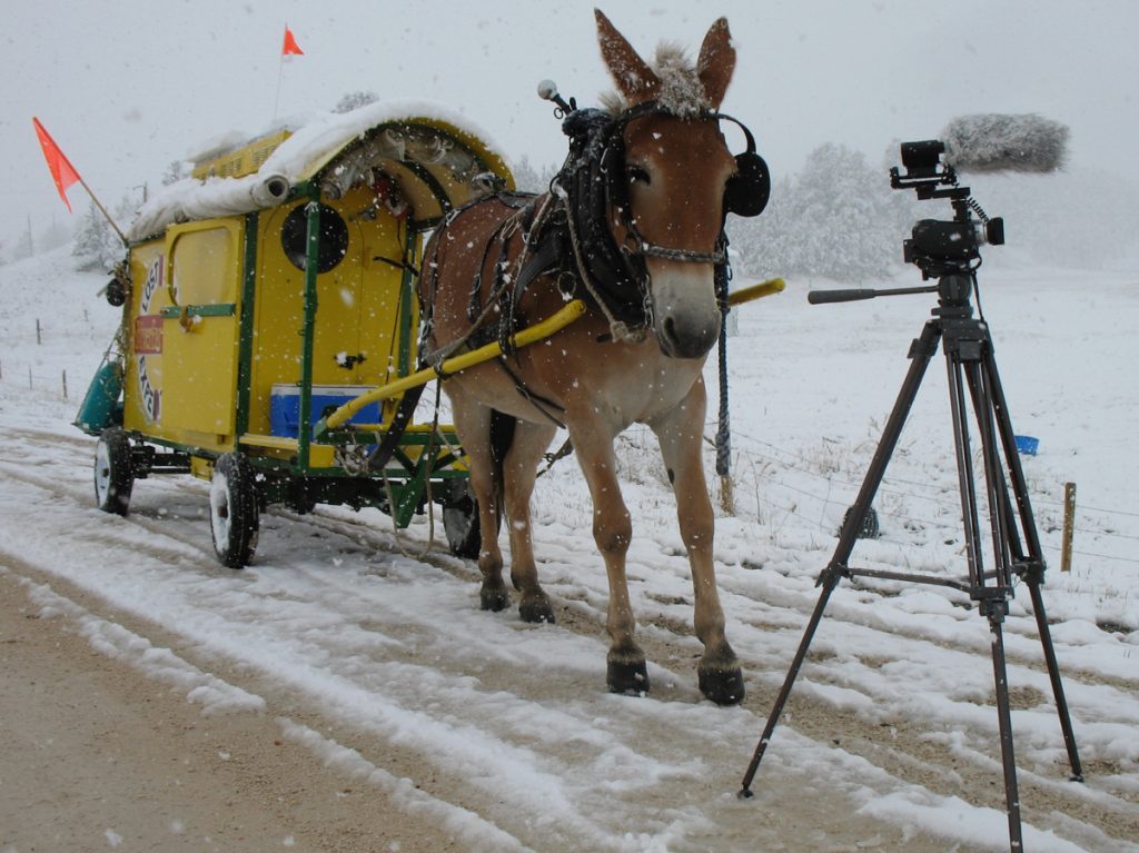 Mule Polly and the Lost Sea Expedition wagon in the snow while filming.