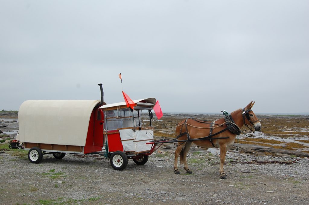 Polly's wagon for Newfoundland.