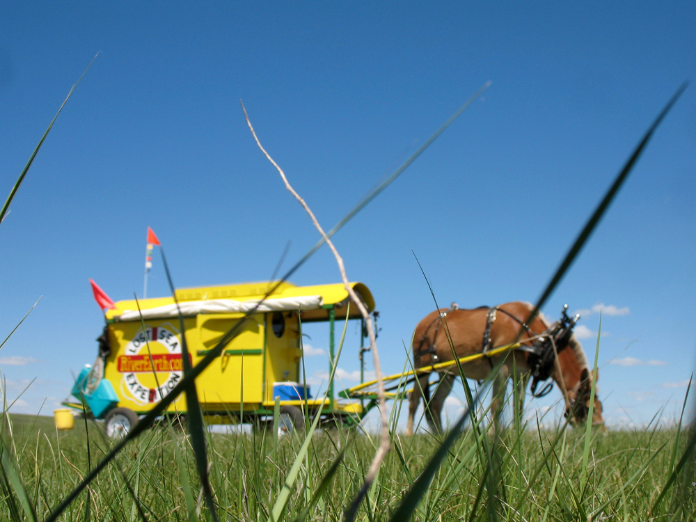 The Prairie-eye-view of Polly taking a snack break on her voyage across America.
