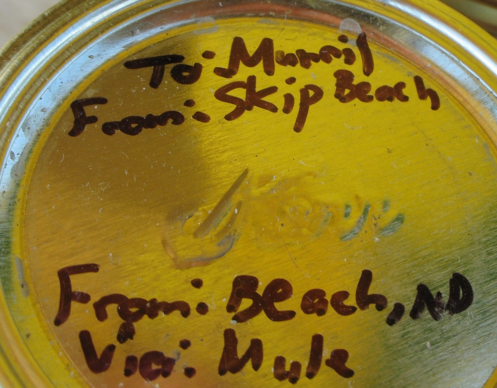 Written on each lid was "To Murril From Skip Beach". The honey was to be delivered "Via: Mule".