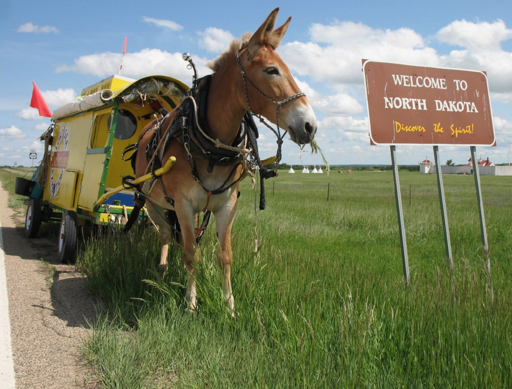 My mule Polly and the Lost Sea Expedition wagon straddle the North Dakota/Montana state line. I built the wagon especially for the voyage.