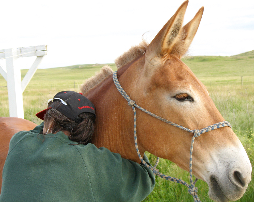Lakota elder Janice Red Willow spends some quiet time with mule Polly.